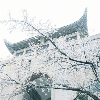 上海：允许符合条件的单身非户籍居民购房